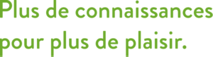 phrases-punch-physio-courseapied